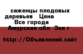 саженцы плодовых деревьев › Цена ­ 6 080 - Все города  »    . Амурская обл.,Зея г.